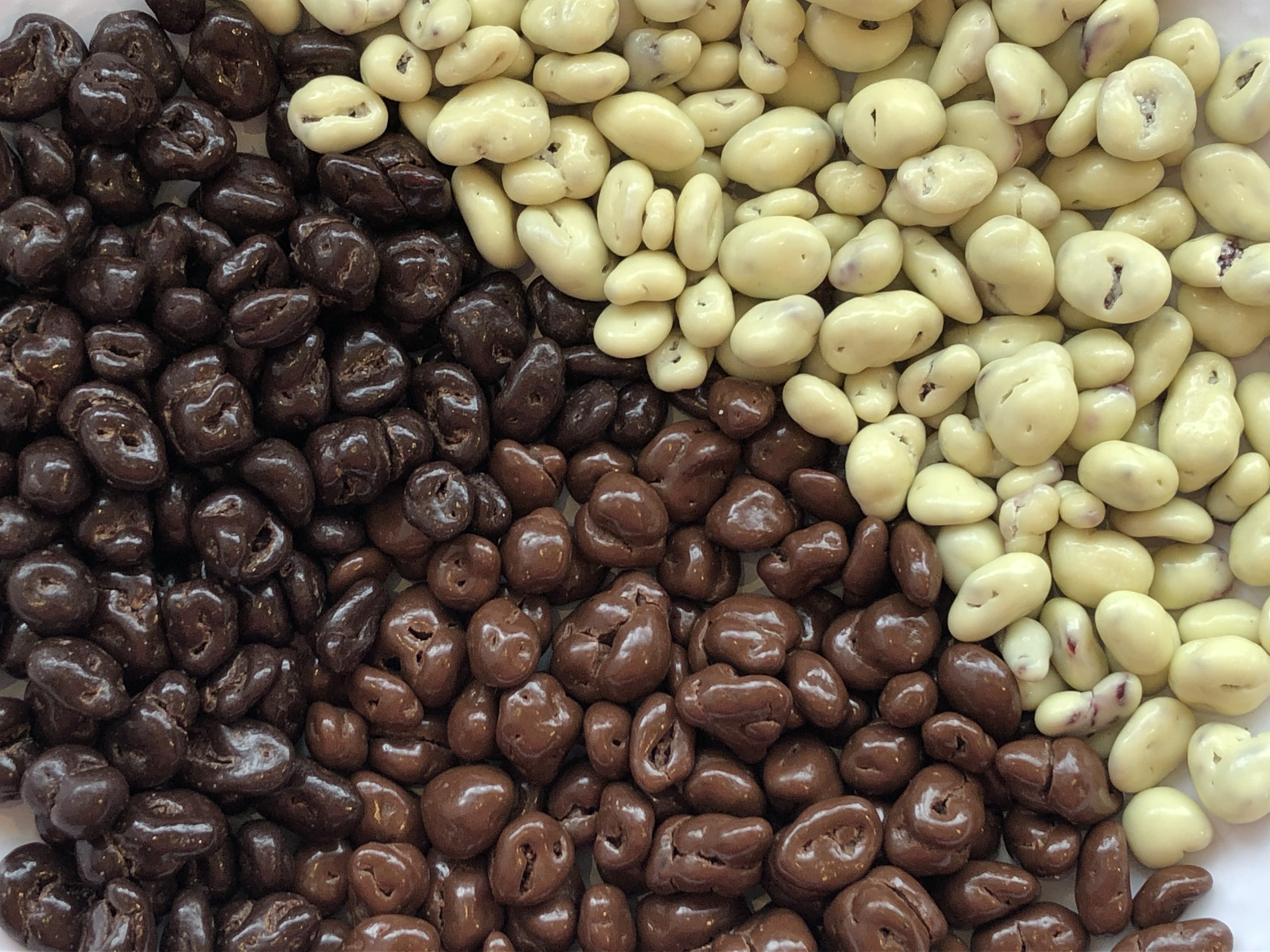 Cranberries met Chocolade Coating Choconut BV